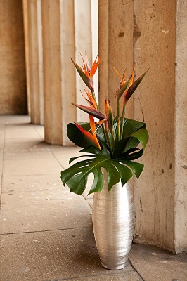 Bird of Paradise Vase Arrangment