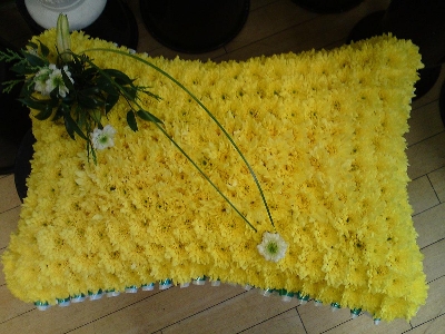 Yellow Cushion