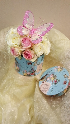 Blue and Pink Hatbox with Butterfly