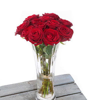 *12 Red Rose Vase*