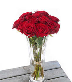 *12 Red Rose Vase*