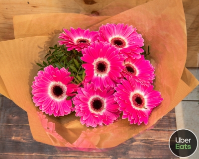 Cerise Gerbera Delight