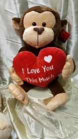 Valentines Teddys