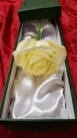 White Avalanche Rose