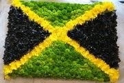 Jamaican Flag Tribute
