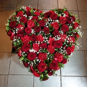 Red Rose and Carnation Heart
